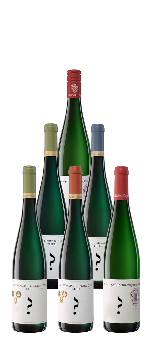 Überraschungspaket 6 Flaschen 6 x 1 Flasche Riesling trocken bis fruchtig 