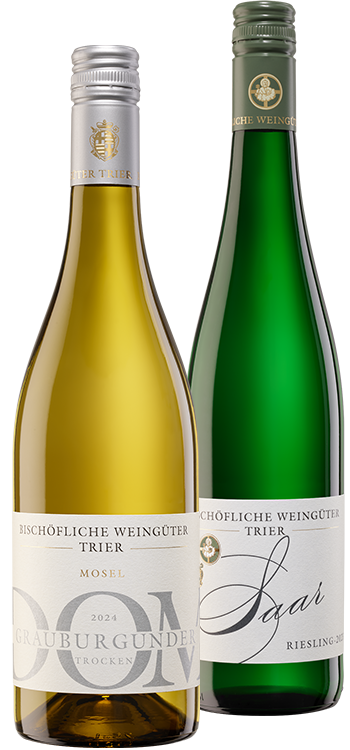 Spargel & Wein 2 x 6 Fl. - Spargelbegleiter trocken & feinherb 