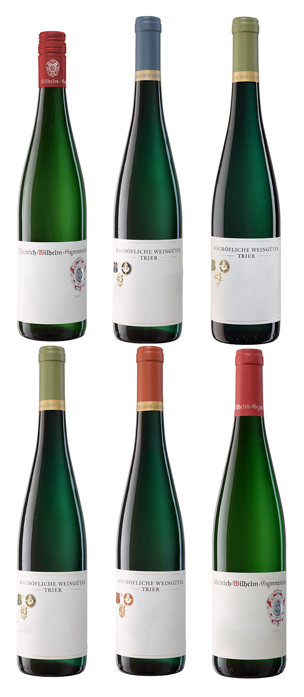 Überraschungspaket 6 Flaschen 6 x 1 Flasche Riesling trocken bis fruchtig 