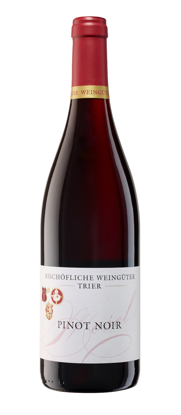Pinot Noir von der Saar. 6 Flaschen 2022 Pinot Noir trocken 2022