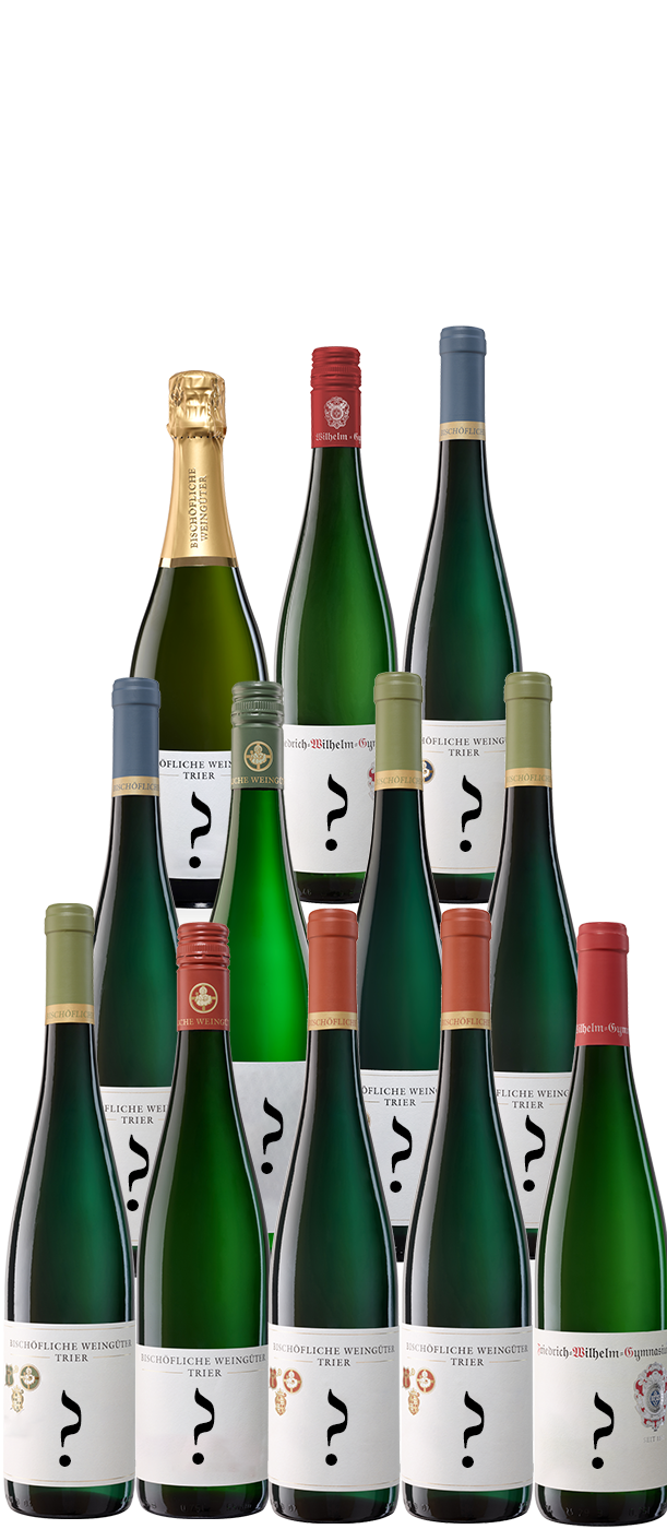 Überraschungspaket 12 Flaschen 12 x 1 Flasche Riesling trocken bis fruchtig 